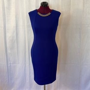 Calvin Klein form fitting dress.